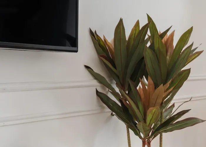 Ajuda Cozy Retreat With Patio *